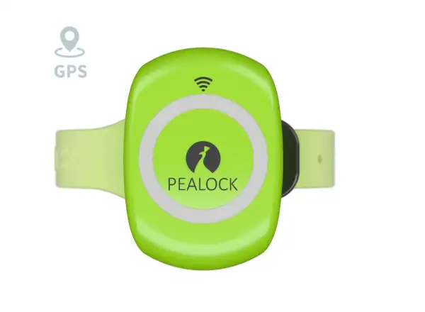 Pealock 2 elektronický zámok zelený
