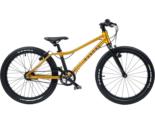 Rascal 20 Gold detský bicykel