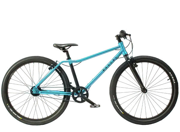 Detský bicykel Rascal 26 Aquamarin 7 sp. Shimano Nexus
