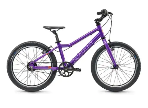Academy Grade 4 Belt detský bicykel 20" fialový