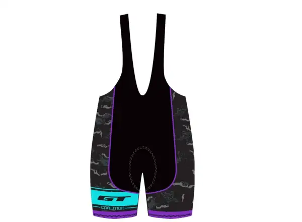 Dámske šortky GT Race purple/blue 2016