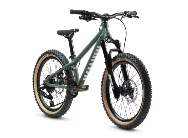 Early Rider Hellion 20 detský bicykel Forest Green