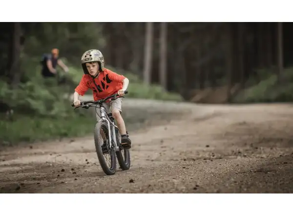 Early Rider Seeker 20 detský bicykel Brushed Aluminium