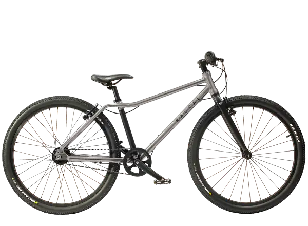 Detský bicykel Rascal 26 Titanium 7 sp. Shimano Nexus