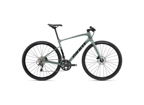 Giant FastRoad AR Advanced 2 fitness bicykel misty forest