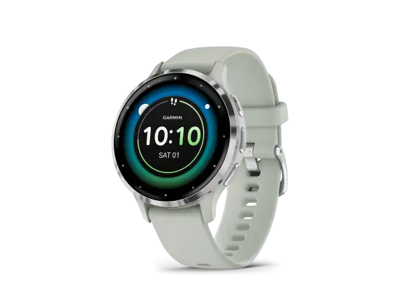 Inteligentné hodinky Garmin Venu 3S strieborná/šedá