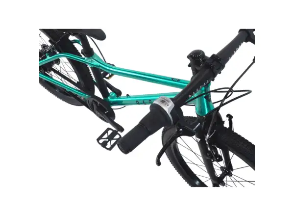 Detský bicykel Rascal 20 Limited Emerald