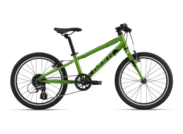 Detský bicykel Giant ARX 20 Metallic green