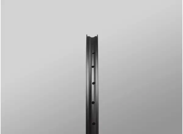 Reserve 30/SL AL6069 DT 350 29" vypletené kolesá orech Microspline
