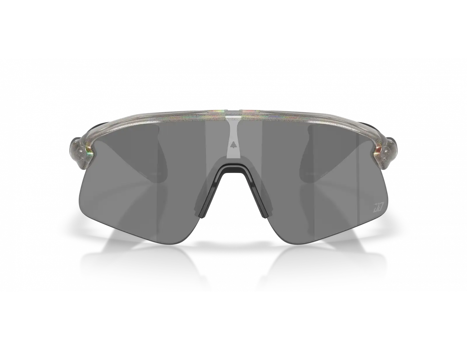 Oakley Stunt Devil okuliare Grey Ink Moondust/Prizm Black
