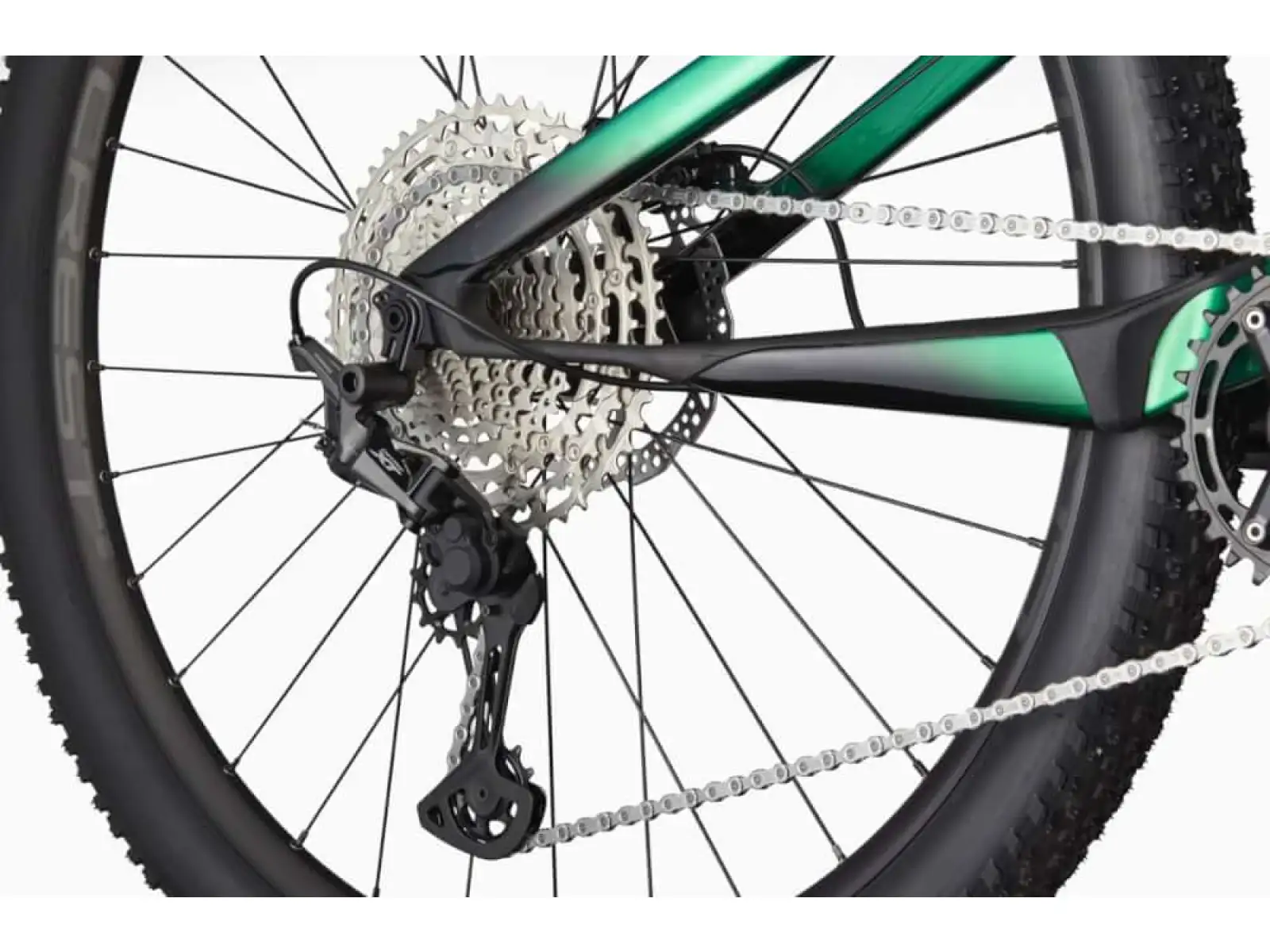 Horský bicykel Cannondale Scalpel Carbon 4 29" JNG