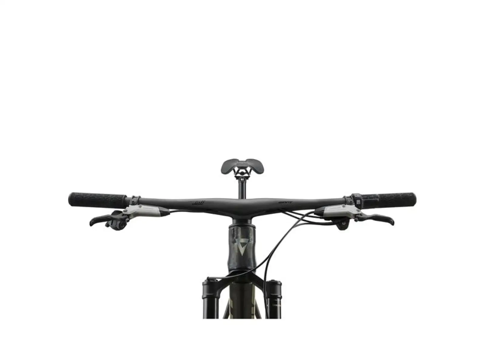 Giant Anthem Advanced 0 horský celoodpružený bicykel Raw Carbon