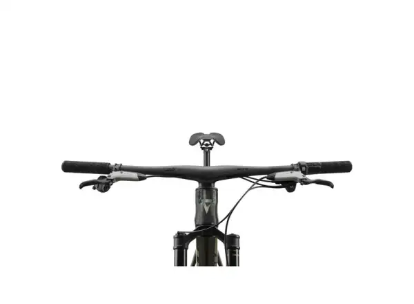 Giant Anthem Advanced 0 horský celoodpružený bicykel Raw Carbon