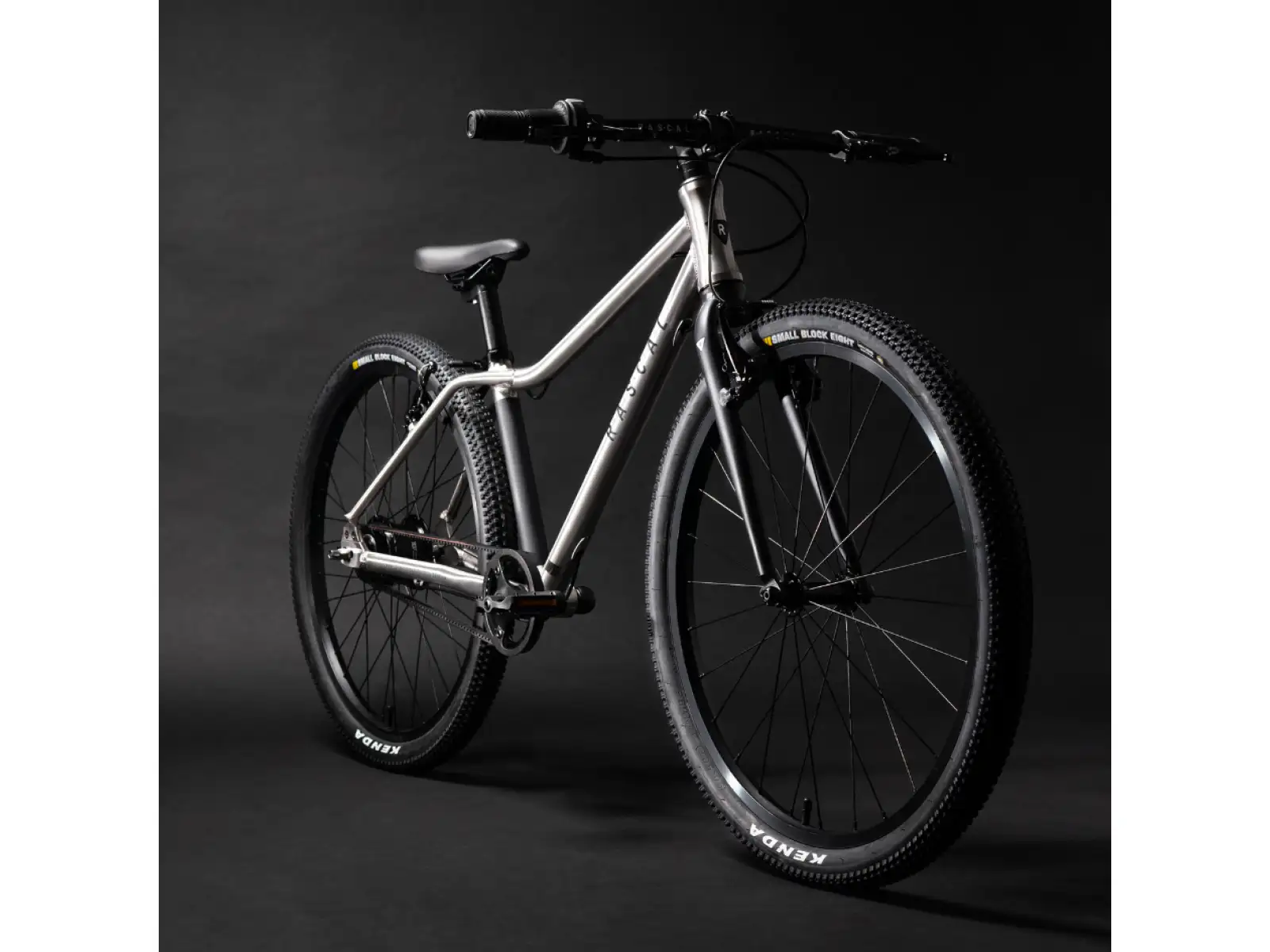 Rascal 24 Titanium 7 sp. Shimano Nexus detský bicykel