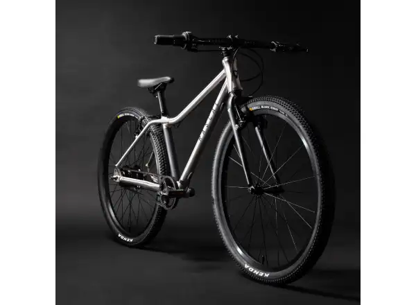 Rascal 24 Titanium 7 sp. Shimano Nexus detský bicykel