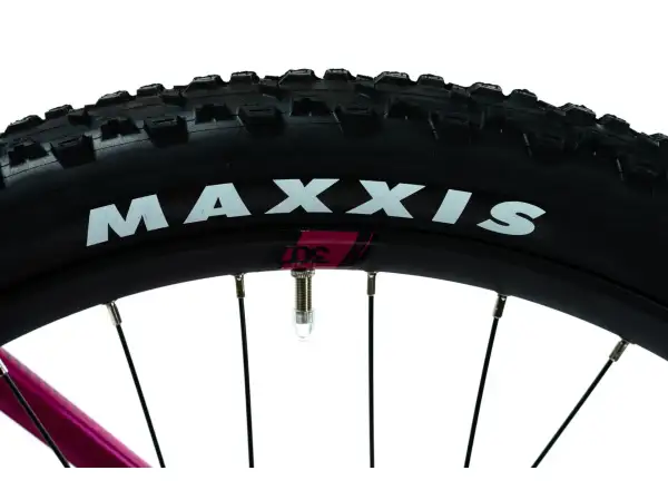 Crussis PAN Guera 10.9-M horský elektrobicykel