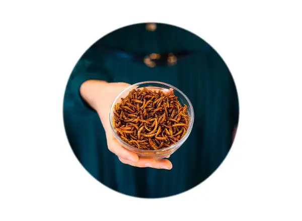 Grig sušenie červíci Parmezán 13 g