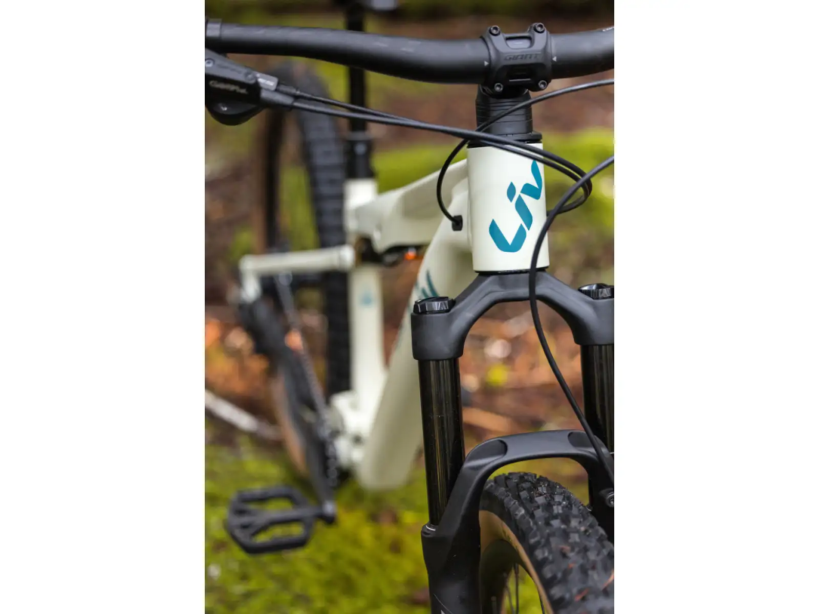 Liv Embolden 2026 horský bicykel Pale Moss