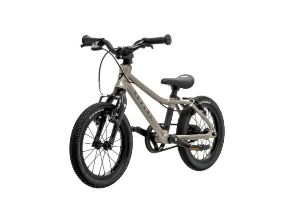 Rascal 14 Titanium detský bicykel