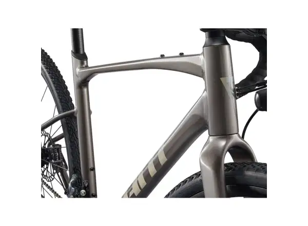Giant Revolt 1 gravel bicykel Metal