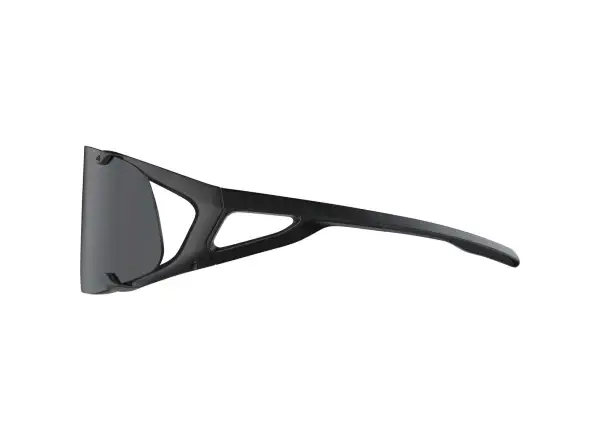 Alpina Hawkeye okuliare All Black Matt