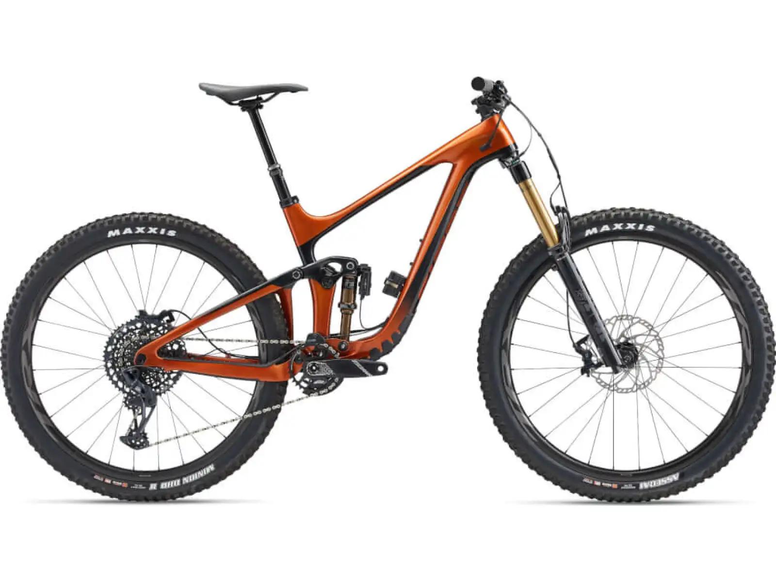 Horský bicykel Giant Reign Advanced Pro 1 29