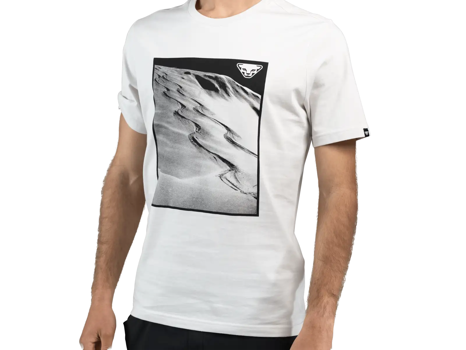 Dynafit Graphic Cotton pánske tričko krátky rukáv Nimbus/First Track