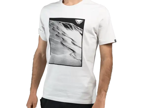 Dynafit Graphic Cotton pánske tričko krátky rukáv Nimbus/First Track
