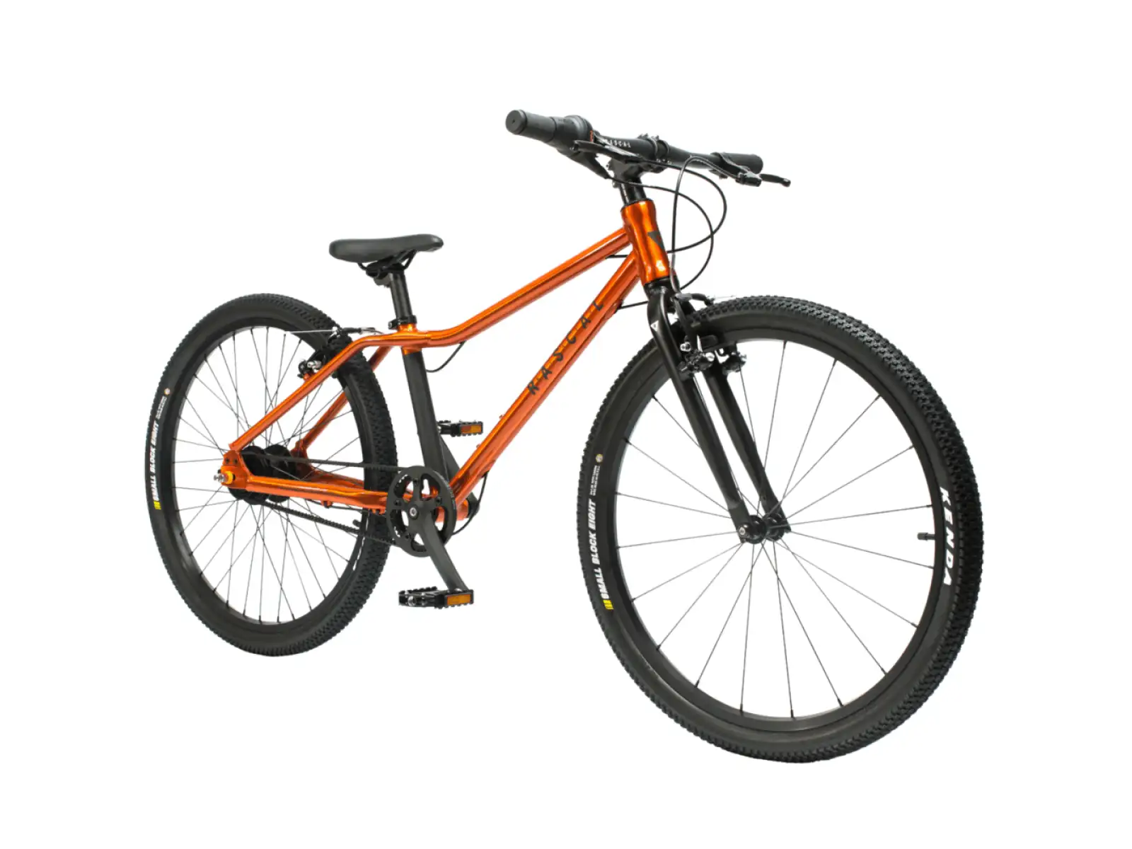 Rascal 24 Flame 5 sp. Sturmey Archer detský bicykel