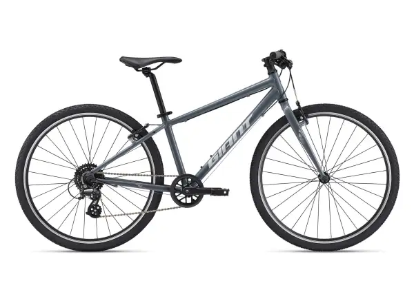 Giant ARX 26 detský bicykel Ocean Storm