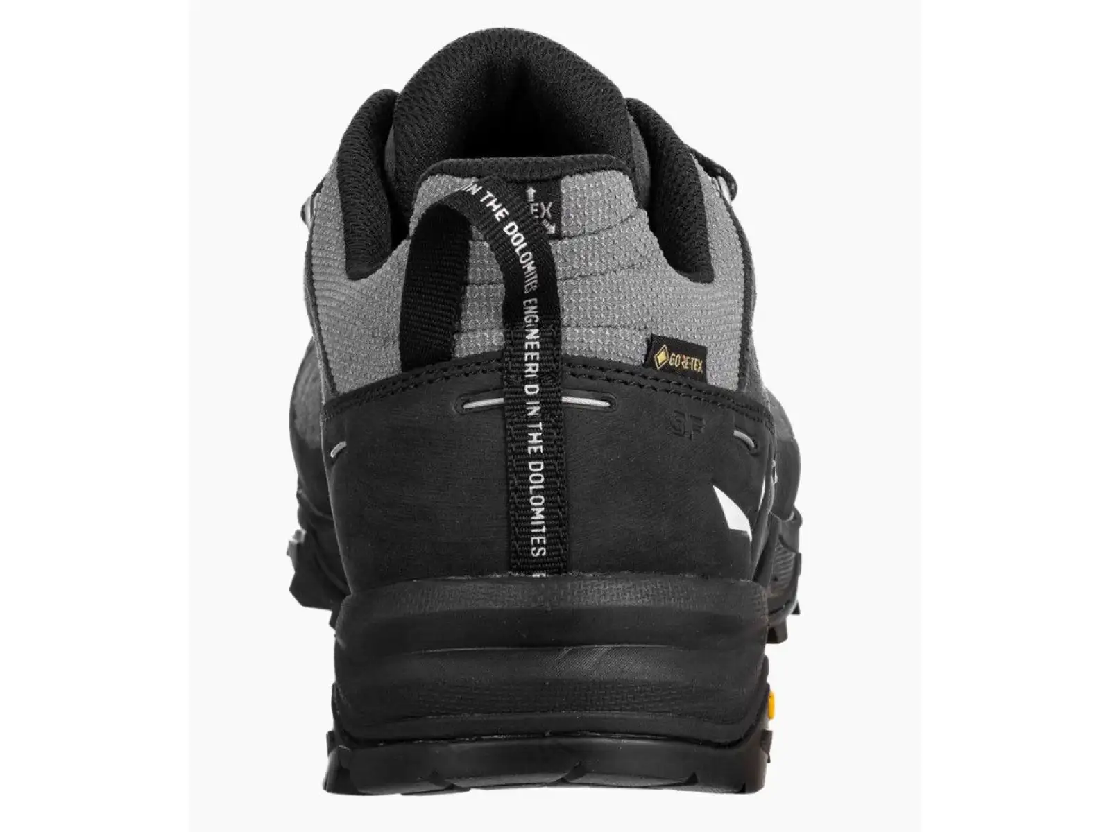 Salewa Alp Trainer 2 Gore-Tex pánska obuv Onyx Black