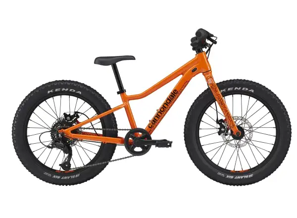 Cannondale Kids Trail Plus 20 ORG detský bicykel