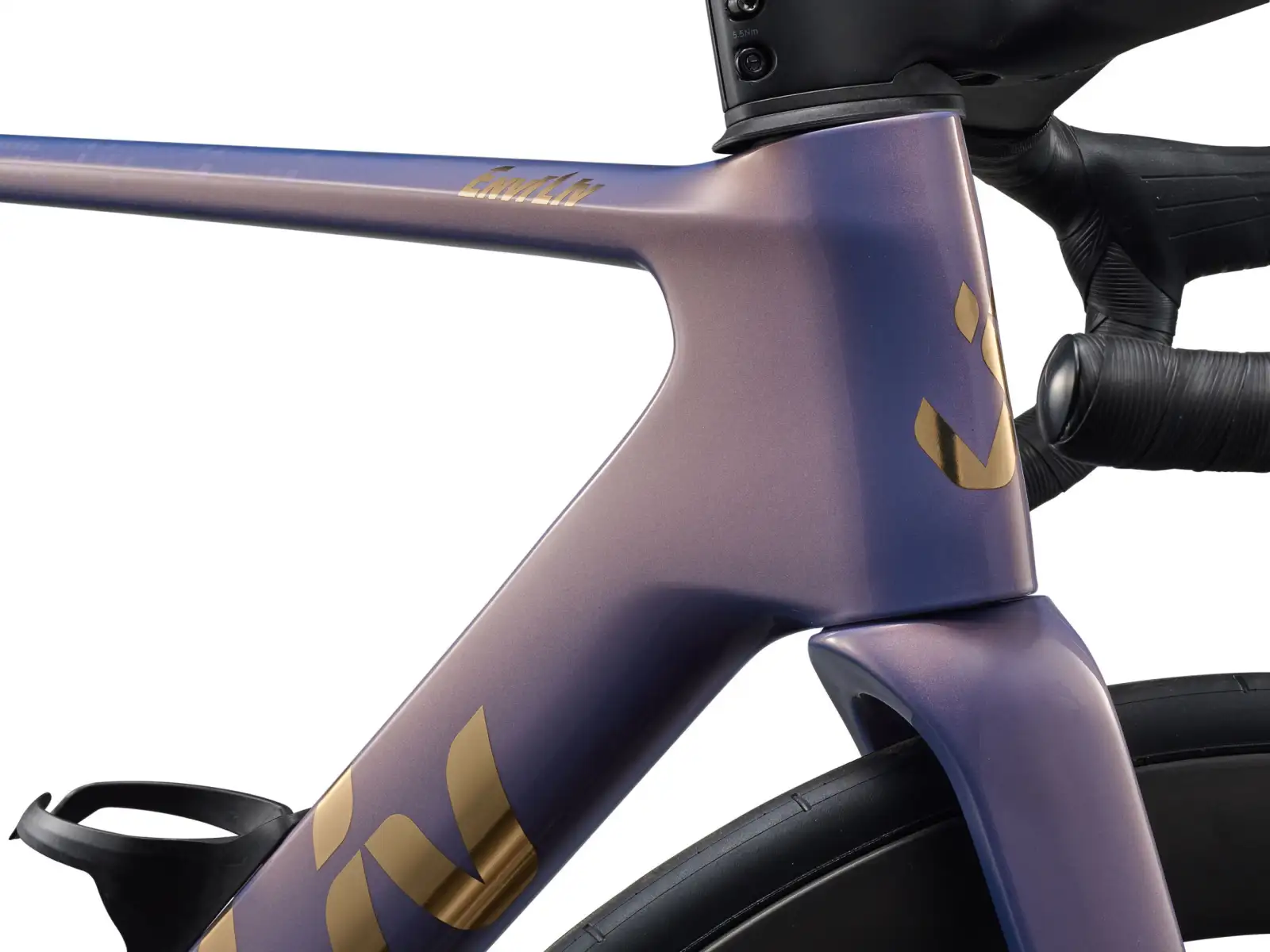 Liv EnviLiv Advanced Pro 0-Di2 cestný bicykel Ember Violet