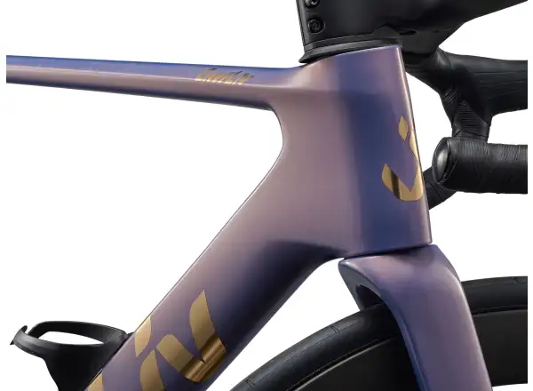 Liv EnviLiv Advanced Pro 0-Di2 cestný bicykel Ember Violet