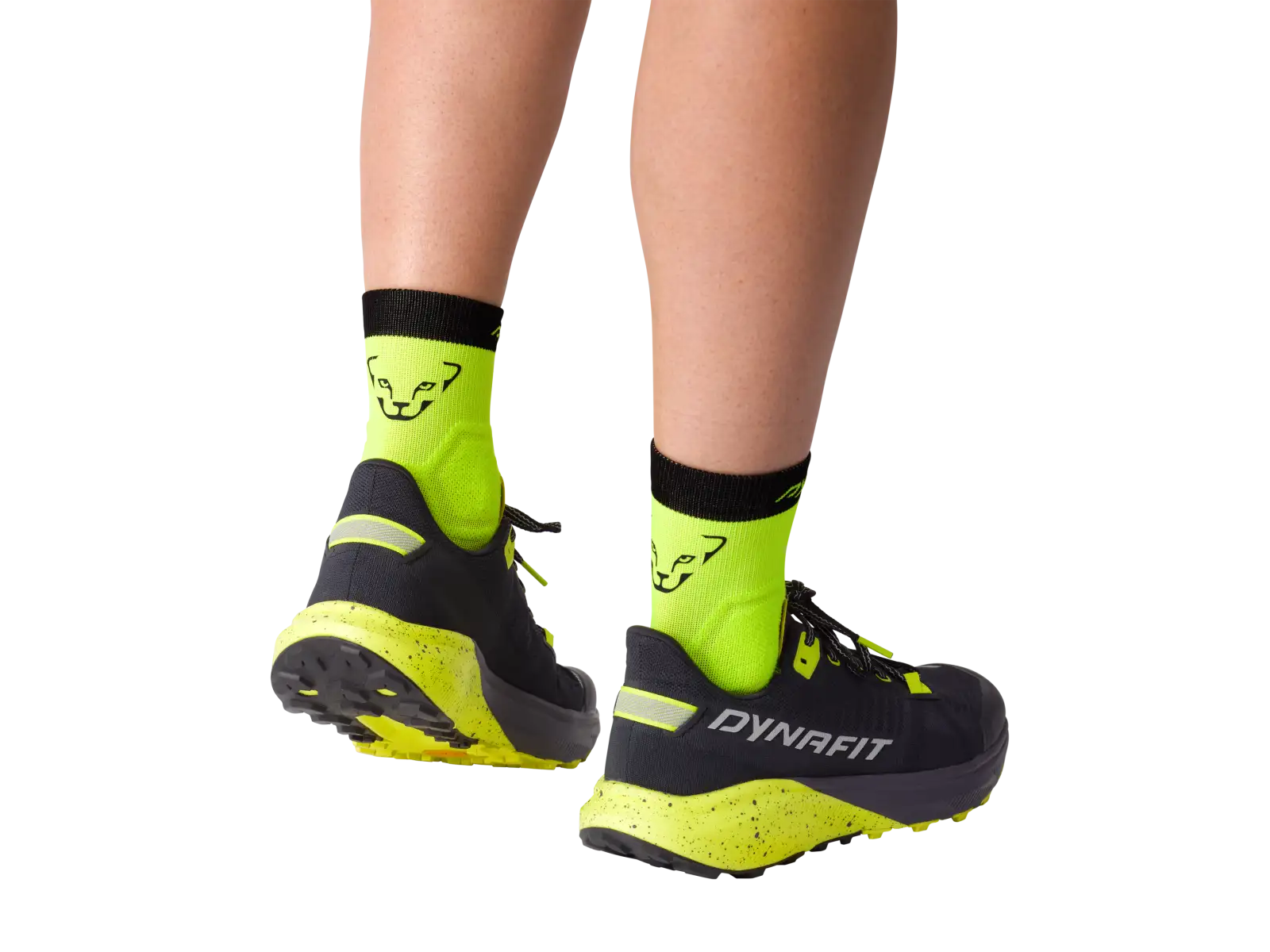 Dynafit Alpine Short krátke bežecké ponožky Storm Blue