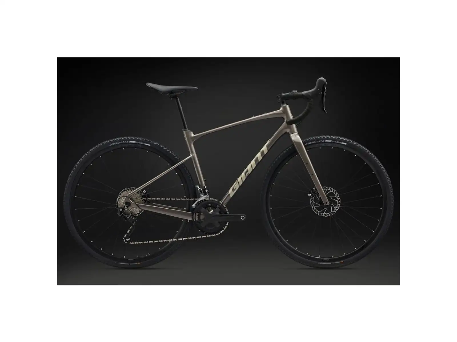 Giant Revolt 1 gravel bicykel Metal