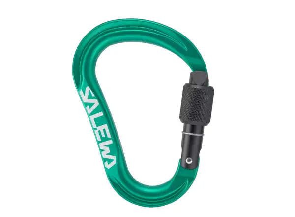 Salewa Ortles HMS Screw karabína M Irish Green
