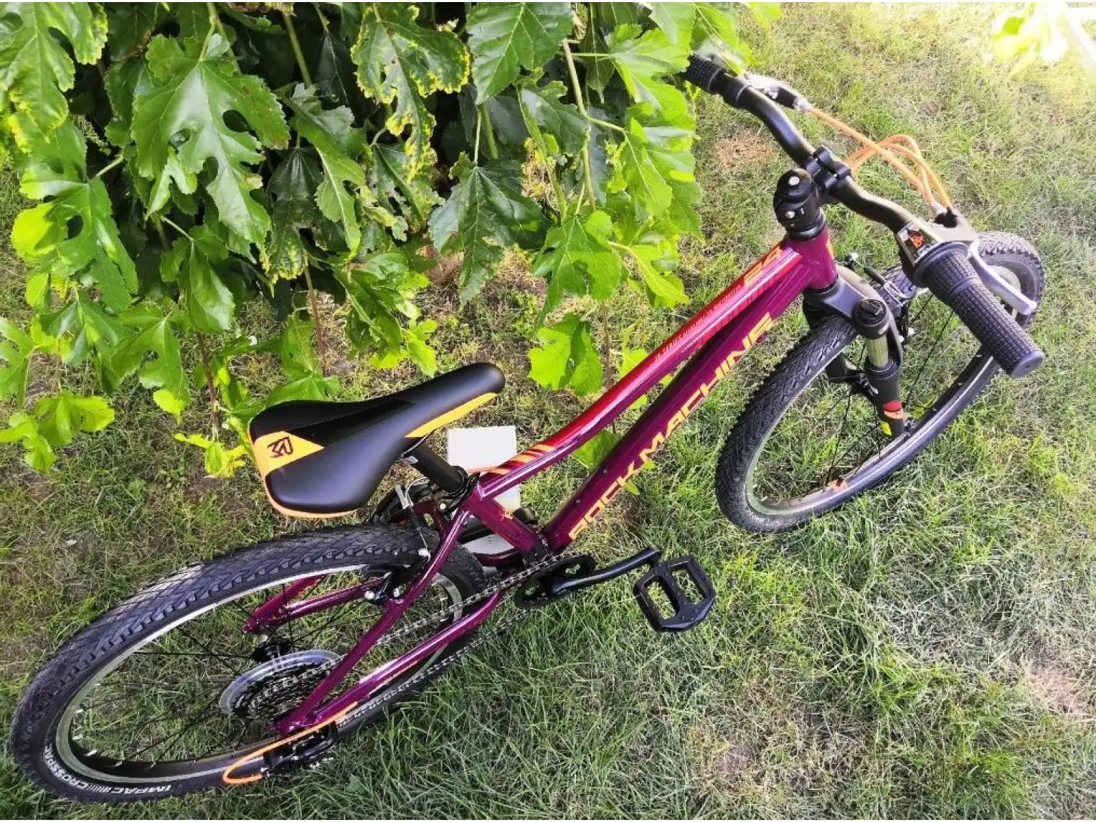 Rock Machine Catherine VB 24" horský bicykel gloss crimson/orange/crimson