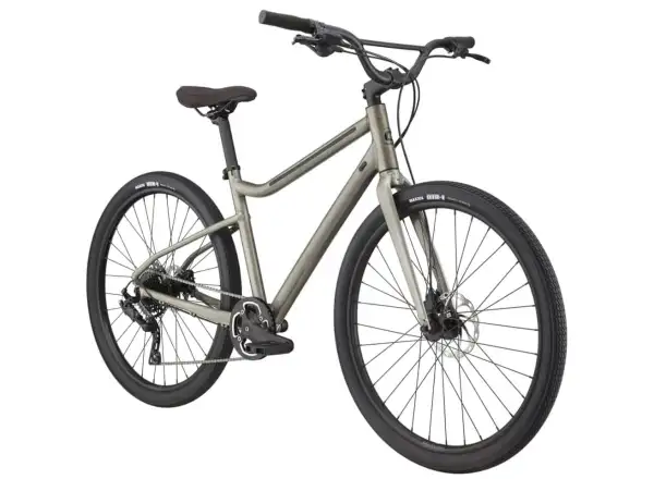 Cannondale Treadwell 2 Ltd RAW fitness bicykel