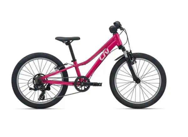 Giant Tempt 20 detský horský bicykel Virtual Pink
