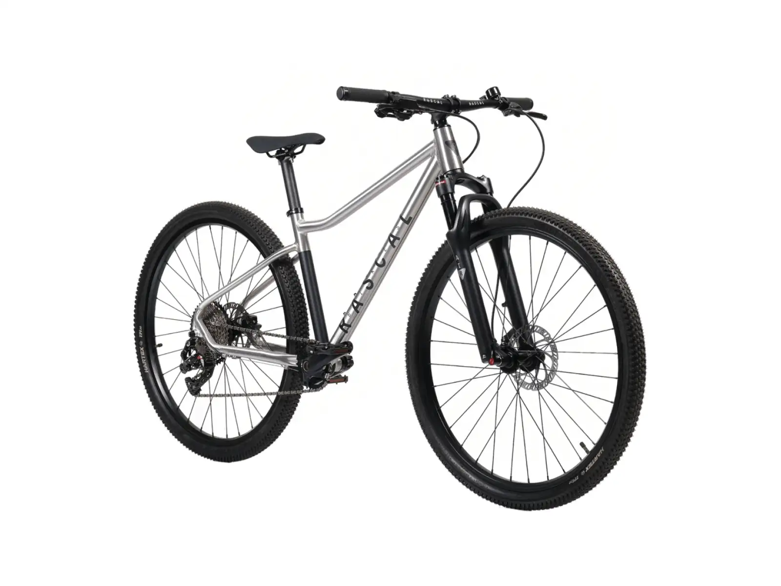 Rascal Wild 29 Limited detský bicykel Silver