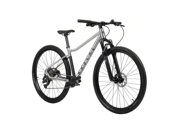 Rascal Wild 29 Limited detský bicykel Silver