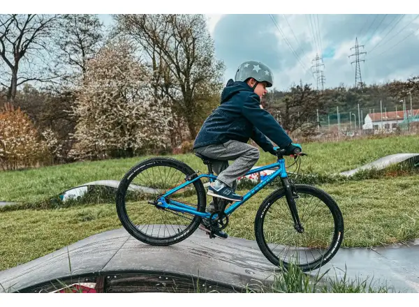 Rascal 24 7 sp. Shimano Nexus detský bicykel Raspberry