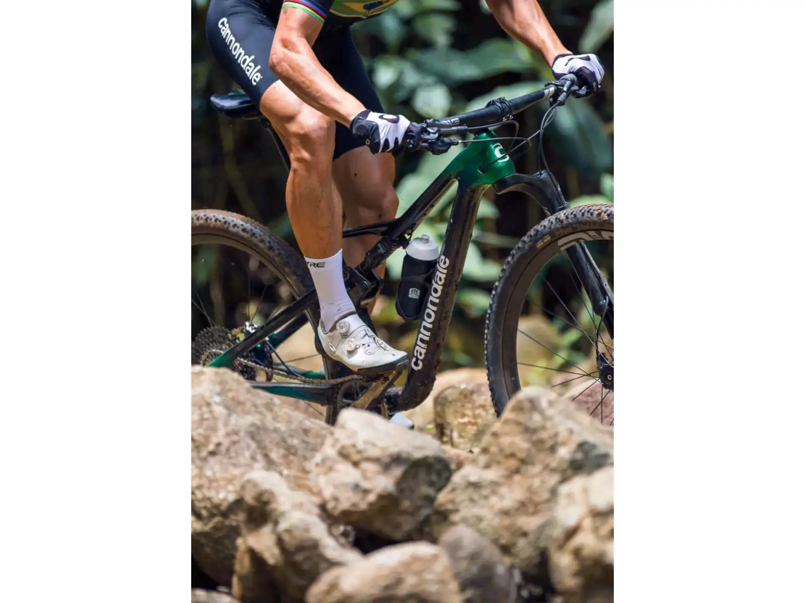 Horský bicykel Cannondale Scalpel Carbon 4 29" JNG
