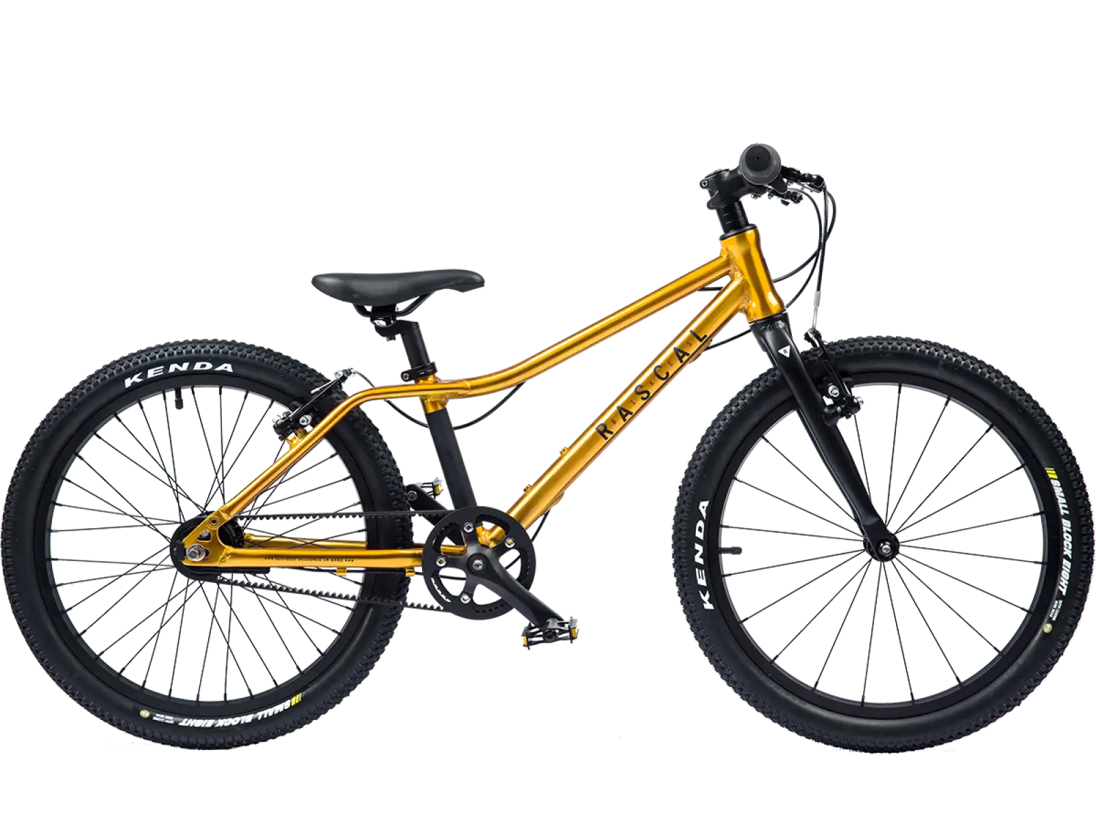 Rascal 20 detský bicykel Gold