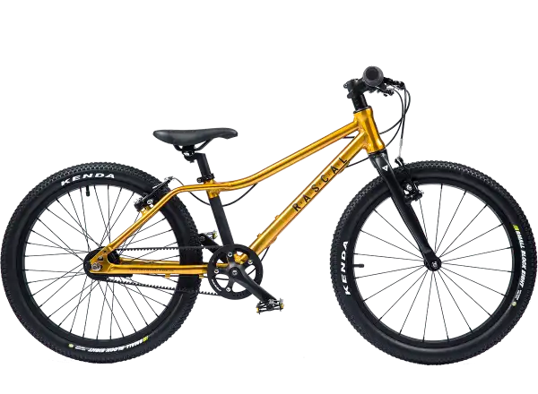 Rascal 20 detský bicykel Gold