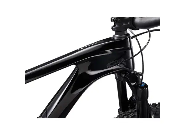Giant Trance Advanced Pro 29 1 horský bicykel carbon/black diamond