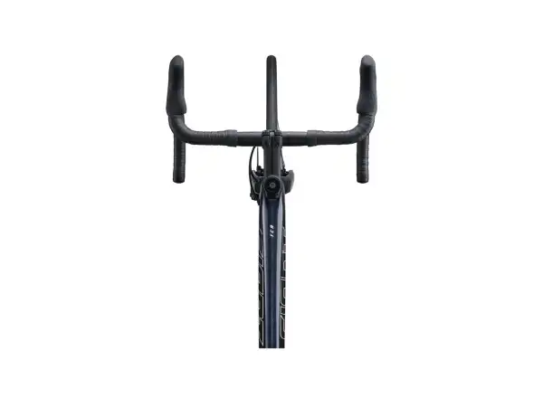 Giant TCR Advanced 1+ Disc-PC cestný bicykel cold night