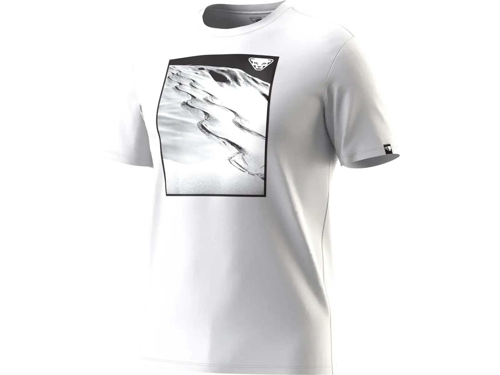 Dynafit Graphic Cotton pánske tričko krátky rukáv Smoke Blue/Tabloid
