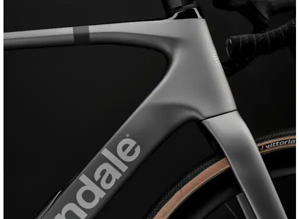 Cannondale Synapse Carbon 2 cestný bicykel Grey (GRY)